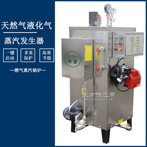 食品加工专用30kg天然气蒸汽发生器小型燃气蒸汽锅炉图片
