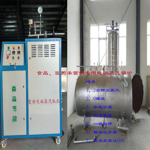 高效环保的食品蒸煮杀菌电热蒸汽发生器 智能电磁蒸汽锅炉引领行业革新