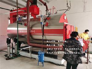 高效能源解决方案 4吨燃气蒸汽锅炉与反应釜夹层锅的配套应用