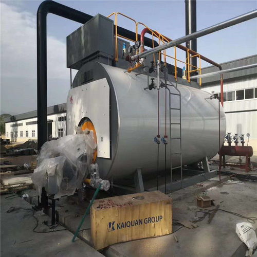 那曲巴青县6吨燃气锅炉价格