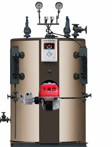 如何选购优质蒸汽锅炉 关键要素与推荐产地