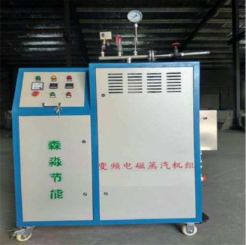 食品制药行业必备 环保蒸汽发生器与免检蒸汽锅炉高清图鉴